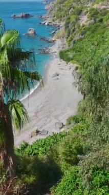 Yeşilliklerle çevrili huzurlu bir bahçe pikniği..