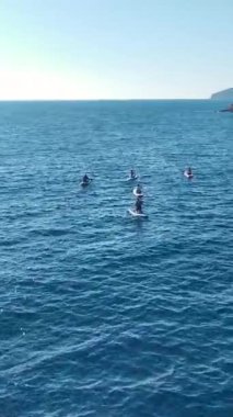 Okyanusun güzelliğine büyülü bir yolculuk.