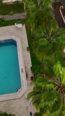 Havuzu ve denize bakan palmiyeleri olan lüks villalar..