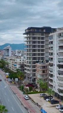 İşçiler işlemleri yönetirken vinçler yük taşır.