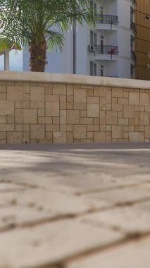 Birinci sahil şeridinde büyük tesisleri olan birinci kalite gayrimenkul. Güzel deniz manzarası seni bekliyor..