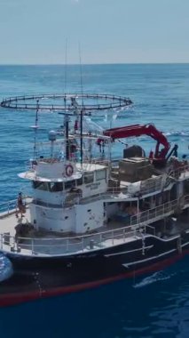 Güzel balık çiftlikleri sakin okyanus sularıyla çevrili..