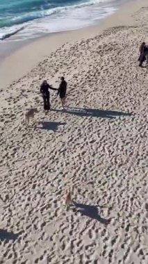 Güneşin altında pırıl pırıl parlayan parlak bir havuz..