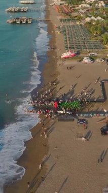 Atletik dayanıklılık ve çarpıcı görüşleri birleştiren canlı bir ırk..