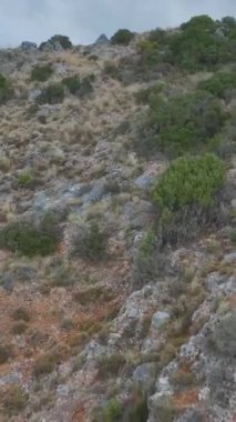 Deniz kenarında huzurlu ve manzaralı bir an.