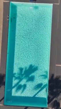 Temiz su ve ağaçlı havuz. Sakin ve ferahlatıcı bir dış uzayın hava görüntüleri..