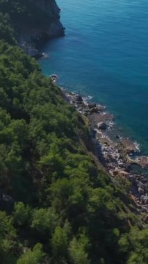Yeşil bitkiler ve kayalık arazi. Manzaralı ve güneşli bir yamacın hava görüntüleri..