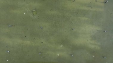 Dinamik ve çalışkan bir sahne..