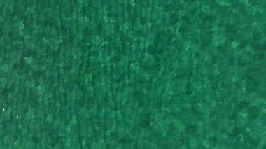 Nehrin ve denizin mavi dalgaları yüksek gelgit ve alçak gelgit sırasında bir araya gelir..