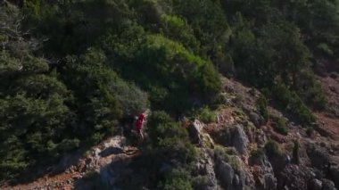 Orman ve kumsalı harmanlayan güzel doğa..