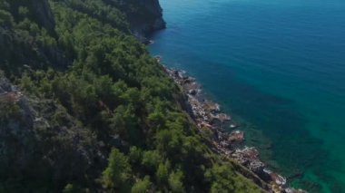 Canlı bir ormanın yakınındaki dingin kayalık bir sahil..