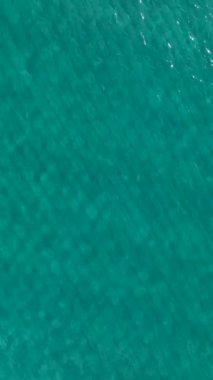 Canlı ve sakin bir okyanus manzarası..