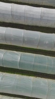 Modern bir tarım yeniliği..