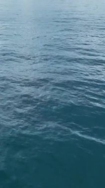 Huzurlu ve canlı bir deniz manzarası.
