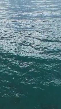 Huzurlu ve renkli bir sahil anı.