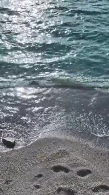 Canlı ve huzurlu bir sahil gün batımı..