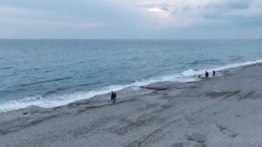 Güçlü dalgalar ve kayalık sahil. Dramatik bir denizcinin hava görüntüleri..