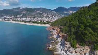 Ağaç çerçeveli okyanus manzarası. Sakin bir sahil sahnesinin hava görüntüleri..