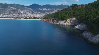Orman ve sahil plajı. Resimli bir doğa sahnesinin hava görüntüleri..