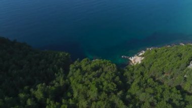 Yeşil ağaçlar ve kayalık plajlar. Sakin bir sahil inzivasının hava görüntüleri..