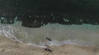 Lüks sahil manzarası. Özel bir deniz kenarı inzivasının hava görüntüleri..