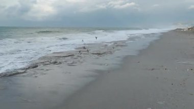 Resimli ve güçlü bir deniz manzarası..