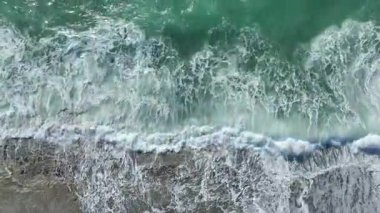 Dinamik ve canlı bir doğal an..