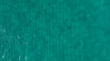 Huzurlu ve canlı bir sahil manzarası.