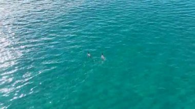 Huzurlu ve canlı bir kıyı arkaplanı.