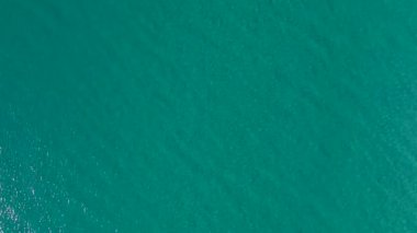 Huzurlu ve canlı bir okyanus arka planı.