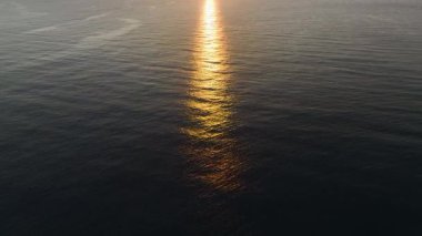 Huzurlu ve canlı bir kıyı arkaplanı.