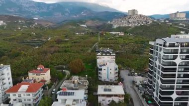 Canlı ve gür bir tarım perspektifi.