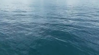 Sakin ve canlı bir deniz manzarası..