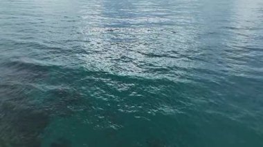 Huzurlu ve büyüleyici bir okyanus manzarası.