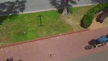 Asfaltlı sahil yolunda palmiye ağaçlarının yanında bisiklet süren adam..