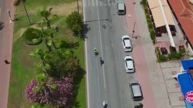 Okyanus kenarında bisiklete binen adam, palmiye ağaçları ve kumlu sahil.