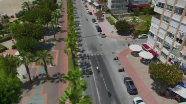 Yeşil ağaçların ve kumlu kıyı şeridinin yanından geçen atlı..