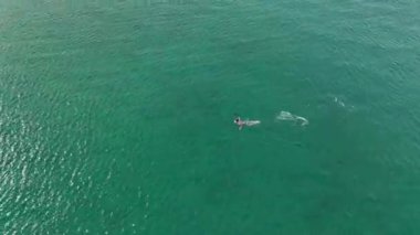 Sporcular antrenman sırasında sabah erkenden okyanusta yüzerler..