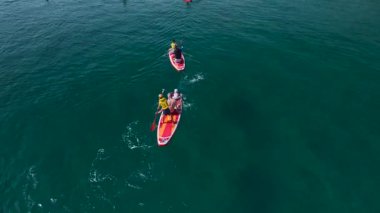 Bir grup arkadaş parlak güneşin altında süzülüyor..