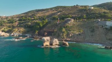 Yeşil muz tarlalı mavi deniz kıyısı.