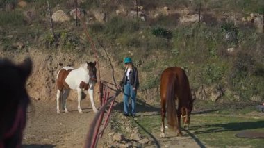 Turkuaz şapkalı bir kadının yanındaki kırmızı kemerli çiftlik atı..