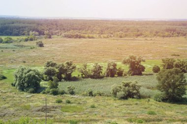Ağaçlı çayırda güneşli bir bahar sabahı. Manzaralı kırsal alan. Bahar güneşli arka plan