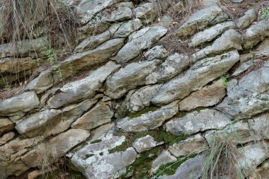 Kaya yüzeyindeki yosun ve desenli taş dokusu. Taş gibi doğal arka plan. Dağ bitkisi. Ayrıntılı doğal arkaplan.