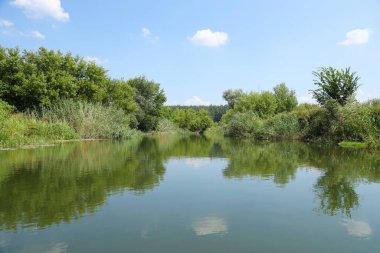 Çayır Nehri yakınında güneşli bahar sabahı. Doğal kırsal manzara. Bahar güneşli arka plan