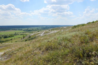 Ağaçlı çayırda güneşli bir bahar sabahı. Manzaralı kırsal alan. Bahar güneşli arka plan
