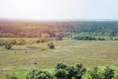 Ağaçlı çayırda güneşli bir bahar sabahı. Manzaralı kırsal alan. Bahar güneşli arka plan