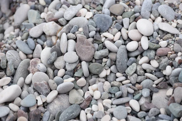 Texture Pebbles Sea Shore Bank Beach Many Pebbles Sea Shore — Stock Photo, Image