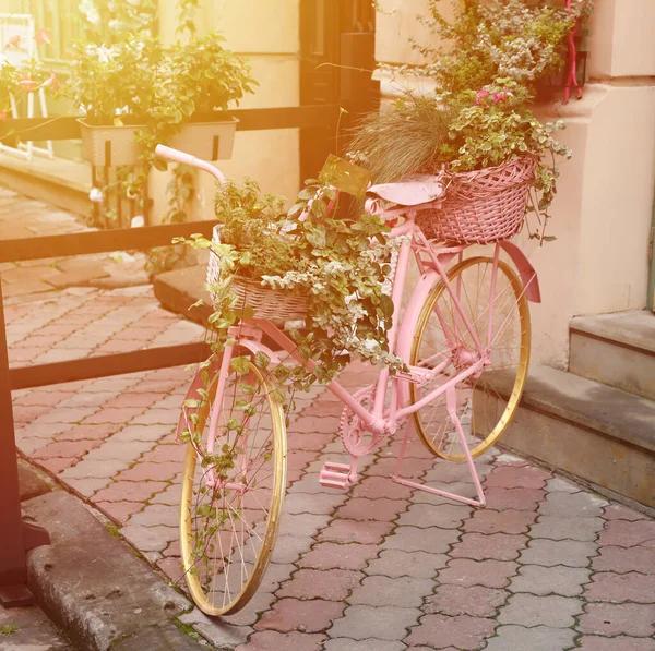 Model Starego Różowego Roweru Wyposażonego Kosz Kwiatów Jako Dekorację Zewnątrz — Zdjęcie stockowe