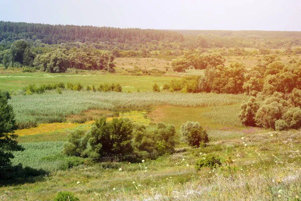 Solig Vårmorgon Äng Med Träd Natursköna Landsbygdslandskap Våren Solig Bakgrund — Stockfoto