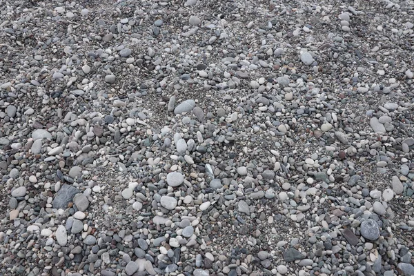 海滩上卵石的纹理 许多来自海滨背景的卵石 — 图库照片
